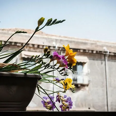 Don Assenzio Temporary * Catania